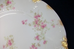 CHARLES FIELD HAVILAND/GDA WILD GERANIUM PINK- DINNER PLATE RAISED DAUBS  ..... https://www.jaapiesfinechinastore.com