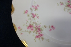 CHARLES FIELD HAVILAND/GDA WILD GERANIUM PINK-  DINNER PLATE   .....   https://www.jaapiesfinechinastore.com