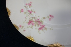 CHARLES FIELD HAVILAND/GDA WILD GERANIUM PINK-  DINNER PLATE   .....   https://www.jaapiesfinechinastore.com