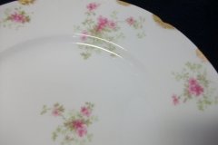 CHARLES FIELD HAVILAND/GDA WILD GERANIUM PINK-  DINNER PLATE   .....   http://jaapiesfinechinastore.com
