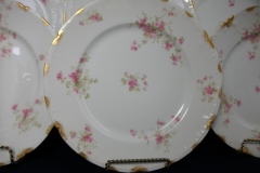 CHARLES FIELD HAVILAND/GDA WILD GERANIUM PINK-  DINNER PLATE   .....   https://www.jaapiesfinechinastore.com