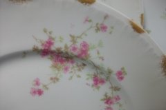 CHARLES FIELD HAVILAND/GDA WILD GERANIUM PINK-  DINNER PLATE   .....   http://jaapiesfinechinastore.com
