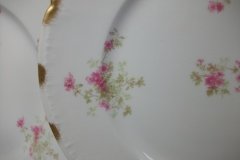 CHARLES FIELD HAVILAND/GDA WILD GERANIUM PINK-  DINNER PLATE   .....   http://jaapiesfinechinastore.com