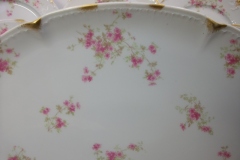 CHARLES FIELD HAVILAND/GDA WILD GERANIUM PINK-  OVAL PLATTER  14  1/4"    .....   https://www.jaapiesfinechinastore.com