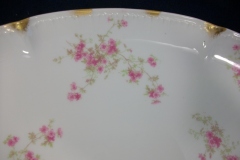 CHARLES FIELD HAVILAND/GDA WILD GERANIUM PINK-  OVAL PLATTER  14  1/4"    .....   https://www.jaapiesfinechinastore.com