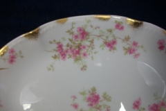 CHARLES FIELD HAVILAND/GDA WILD GERANIUM PINK-  RELISH DISH     .....   https://www.jaapiesfinechinastore.com