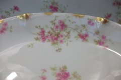 CHARLES FIELD HAVILAND/GDA WILD GERANIUM PINK-  RELISH DISH     .....   http://jaapiesfinechinastore.com