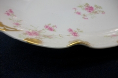 CHARLES FIELD HAVILAND/GDA WILD GERANIUM PINK-  RELISH DISH     .....   https://www.jaapiesfinechinastore.com