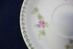 CMC-  MAUREIL CHAPEAU & CHARLES-  PURPLE VIOLETS-  CUP & SAUCER    ..... http://jaapiesfinechinastore.com