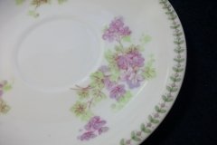 CMC-  MAUREIL CHAPEAU & CHARLES-  PURPLE VIOLETS-  CUP & SAUCER    ..... http://jaapiesfinechinastore.com
