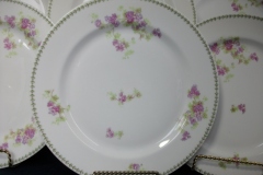 CMC-  MAUREIL CHAPEAU & CHARLES-  PURPLE VIOLETS-  DINNER PLATE  9 7/8"   ..... https://www.jaapiesfinechinastore.com