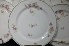 CMC-  MAUREIL CHAPEAU & CHARLES-  PURPLE VIOLETS-  DINNER PLATE  9 7/8"   ..... http://jaapiesfinechinastore.com