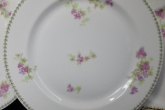 CMC-  MAUREIL CHAPEAU & CHARLES-  PURPLE VIOLETS-  DINNER PLATE  9 7/8"   ..... https://www.jaapiesfinechinastore.com