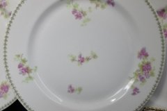 CMC-  MAUREIL CHAPEAU & CHARLES-  PURPLE VIOLETS-  DINNER PLATE  9 7/8"   ..... http://jaapiesfinechinastore.com