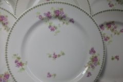 CMC-  MAUREIL CHAPEAU & CHARLES-  PURPLE VIOLETS-  DINNER PLATE  9 7/8"   ..... https://www.jaapiesfinechinastore.com