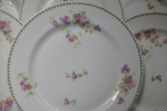 CMC-  MAUREIL CHAPEAU & CHARLES-  PURPLE VIOLETS-  DINNER PLATE  9 7/8"   ..... http://jaapiesfinechinastore.com