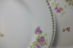 CMC-  MAUREIL CHAPEAU & CHARLES-  PURPLE VIOLETS-  DINNER PLATE  9 7/8"   ..... https://www.jaapiesfinechinastore.com