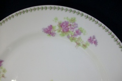 CMC-  MAUREIL CHAPEAU & CHARLES-  PURPLE VIOLETS-  DINNER PLATE  9 7/8"   ..... https://www.jaapiesfinechinastore.com