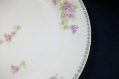 CMC-  MAUREIL CHAPEAU & CHARLES-  PURPLE VIOLETS-  DINNER PLATE  9 7/8"   ..... https://www.jaapiesfinechinastore.com