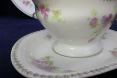 CMC-  MAUREIL CHAPEAU & CHARLES-  PURPLE VIOLETS-  GRAVY BOAT & UNDERPLATE   ..... https://www.jaapiesfinechinastore.com