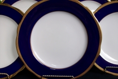 COALPORT #6518D- DINNER PLATE   .....   https://www.jaapiesfinechinastore.com