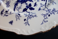 COALPORT CAIRO BLUE #9252-   DINNER PLATE   .....   https://www.jaapiesfinechinastore.com