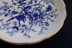 COALPORT CAIRO BLUE #9252- CUP & SAUCER (NOT EMBOSSED)   .....   http://jaapiesfinechinastore.com