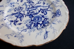 COALPORT CAIRO BLUE #9252-   LUNCH PLATE   .....   https://www.jaapiesfinechinastore.com