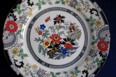 COALPORT CANTON E55 CREAM- DINNER PLATE .....  https://www.jaapiesfinechinastore.com