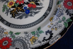 COALPORT CANTON E55 CREAM- DINNER PLATE .....  https://www.jaapiesfinechinastore.com