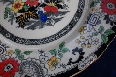 COALPORT CANTON E55 CREAM- DINNER PLATE .....  http://jaapiesfinechinastore.com