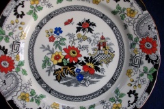 COALPORT CANTON E55 CREAM- DINNER PLATE .....  https://www.jaapiesfinechinastore.com