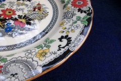 COALPORT CANTON E55 CREAM- DINNER PLATE .....  http://jaapiesfinechinastore.com