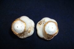 COALPORT KING'S PLATE-  SHAKERS  ..... http://jaapiesfinechinastore.com