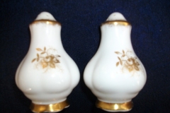 COALPORT KING'S PLATE-  SHAKERS  ..... https://www.jaapiesfinechinastore.com