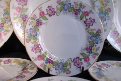 COALPORT MAYTIME- BREAD & BUTTER PLATES