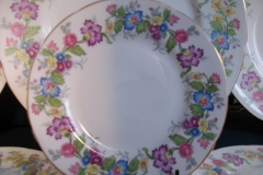 COALPORT MAYTIME- BREAD & BUTTER PLATES