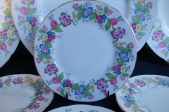 COALPORT MAYTIME- BREAD & BUTTER PLATES