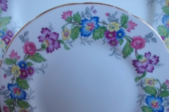 COALPORT MAYTIME- BREAD & BUTTER PLATES