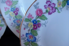 COALPORT MAYTIME- BREAD & BUTTER PLATES