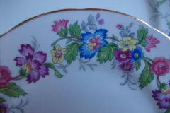 COALPORT MAYTIME- BREAD & BUTTER PLATES