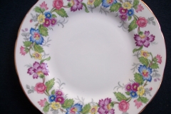 COALPORT MAYTIME- BREAD & BUTTER PLATES