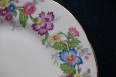 COALPORT MAYTIME- BREAD & BUTTER PLATES