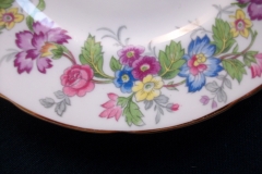 COALPORT MAYTIME- BREAD & BUTTER PLATES