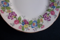 COALPORT MAYTIME- BREAD & BUTTER PLATES