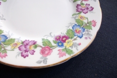 COALPORT MAYTIME- BREAD & BUTTER PLATES