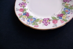 COALPORT MAYTIME- BREAD & BUTTER PLATES