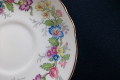 COALPORT MAYTIME- CUP & SAUCER  ..... https://www.jaapiesfinechinastore.com