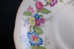 COALPORT MAYTIME- CUP & SAUCER  ..... https://www.jaapiesfinechinastore.com