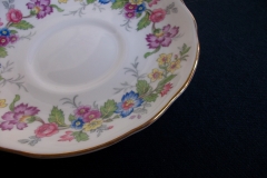 COALPORT MAYTIME- CUP & SAUCER  ..... https://www.jaapiesfinechinastore.com